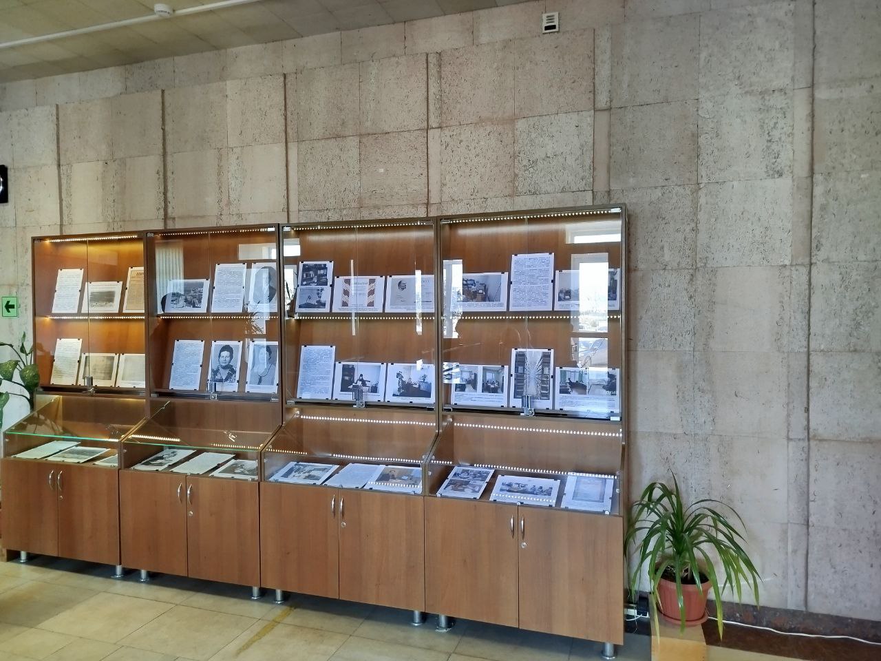 photo 5278596037960472131 y