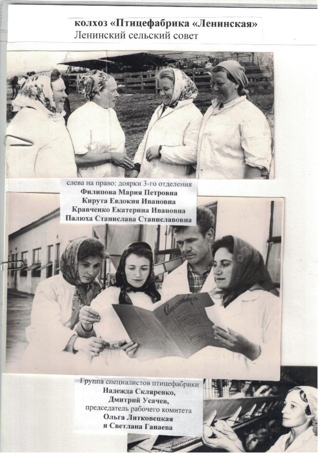 scanned 20260306 133935 page 0008