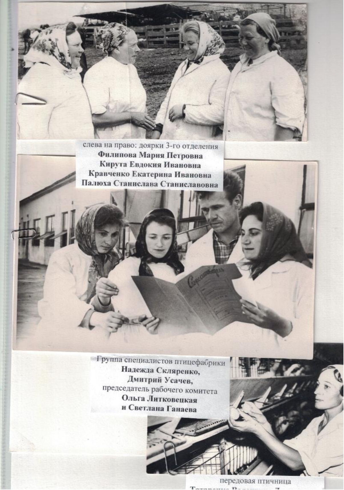 scanned 20260306 133935 page 0009